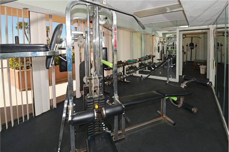 Gym Equipment - Fitness Center
