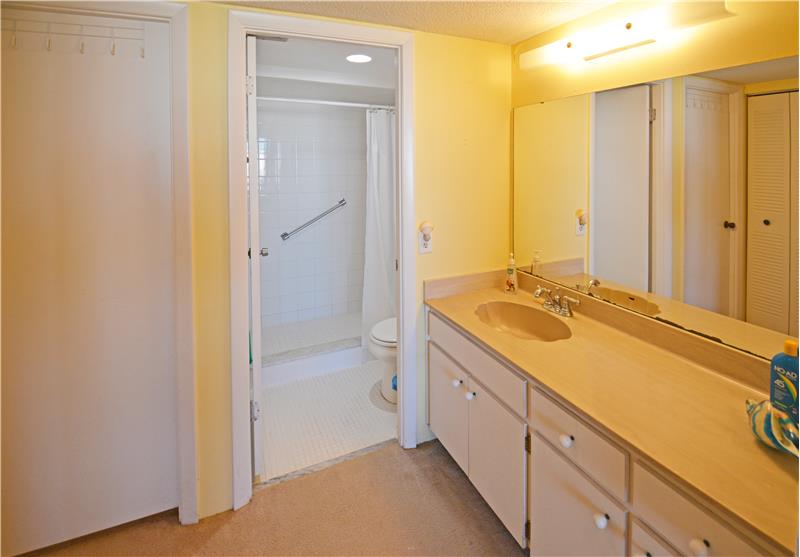 Master Bath and dressing area