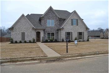 Primary listing photos for listing ID 408101