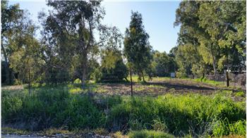 Primary listing photos for listing ID 434106