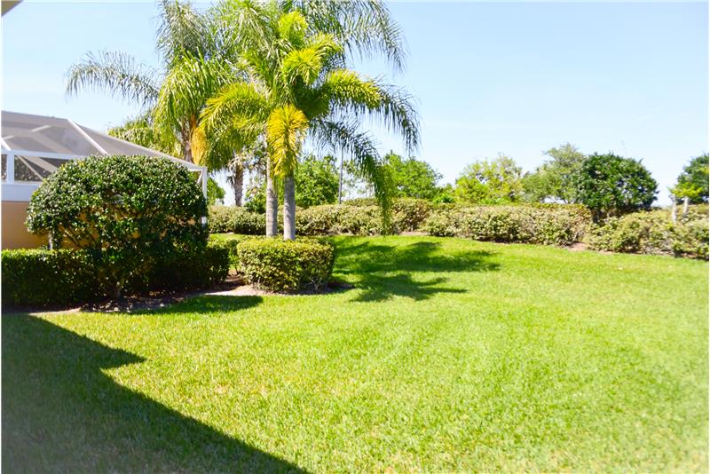 Back yard 1