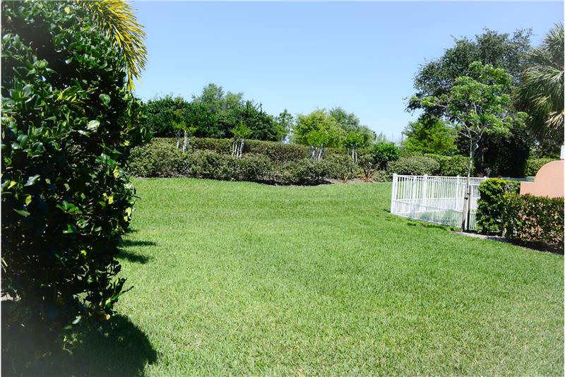 Back Yard 2