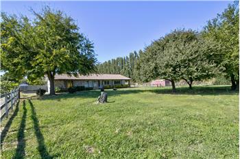 Primary listing photos for listing ID 478242