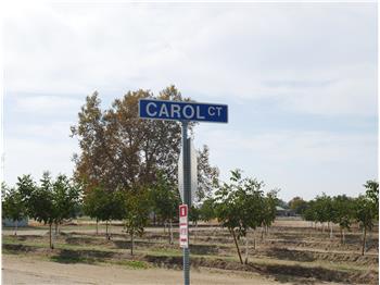 Primary listing photos for listing ID 495690