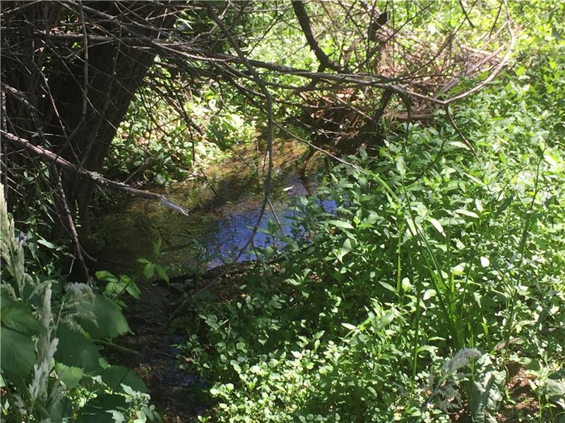 Seasonal Creek still running in summer