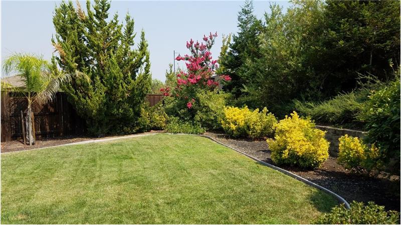 Large Pie-Shaped yard