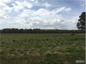 Primary listing photos for listing ID 464911