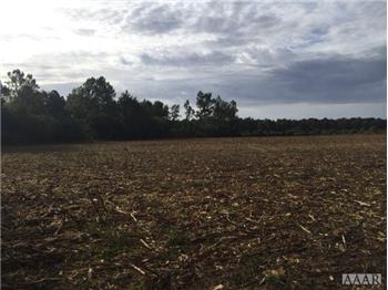 Primary listing photos for listing ID 464971