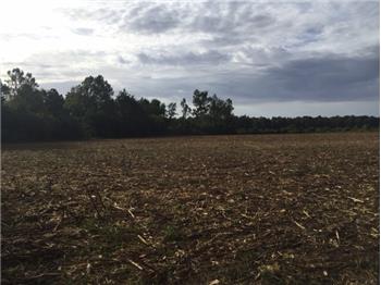 Primary listing photos for listing ID 465043
