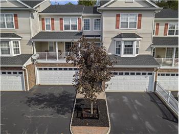 Primary listing photos for listing ID 491360
