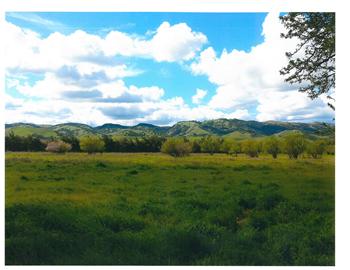 Primary listing photos for listing ID 399740