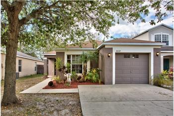 Primary listing photos for listing ID 466883