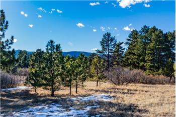 Primary listing photos for listing ID 529349