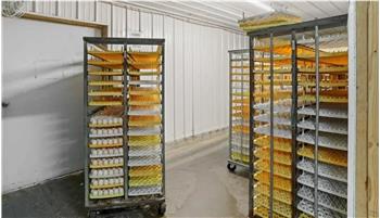 Primary listing photos for listing ID 642984