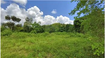 Bo. Rio Arriba, Fajardo, PR