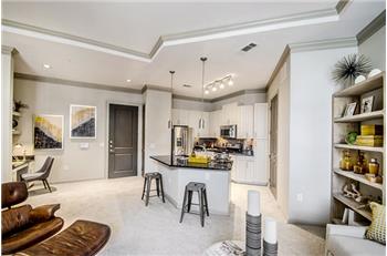 Primary listing photos for listing ID 555229