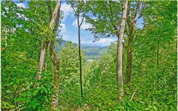Primary listing photos for listing ID 548442