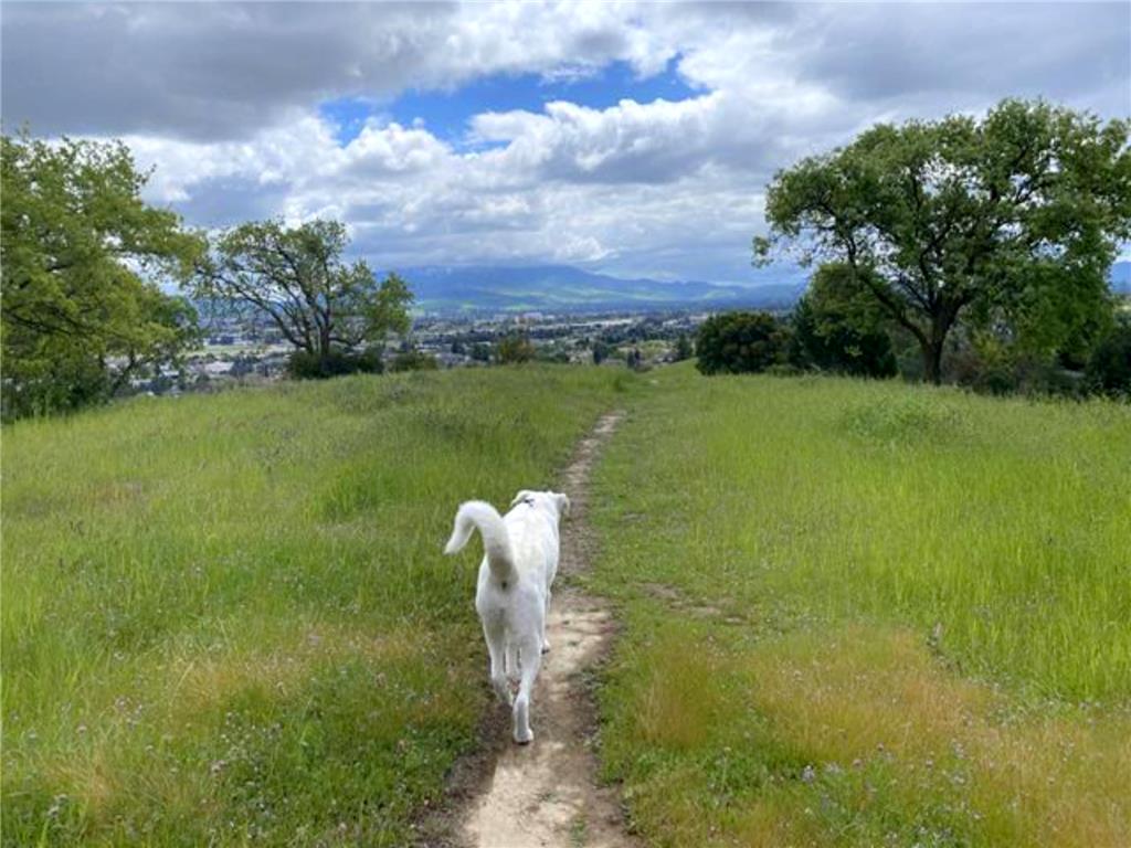 Background image for the property website design