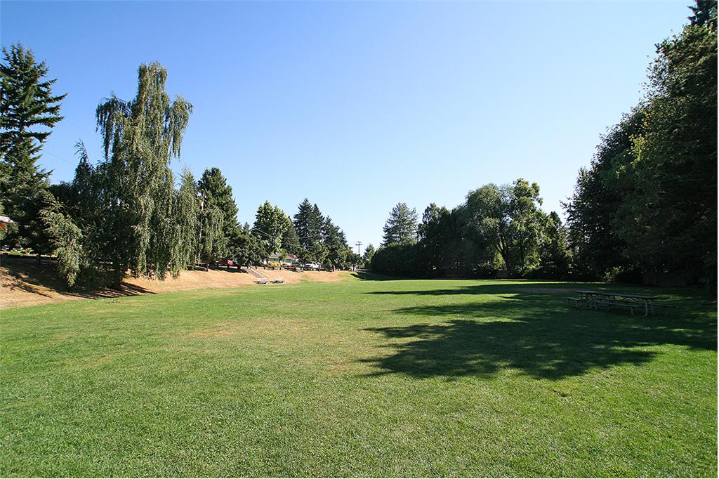 Background image for the property website design