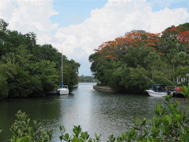 Background image for the property website design