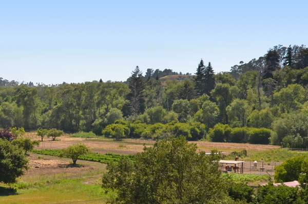 Background image for the property website design