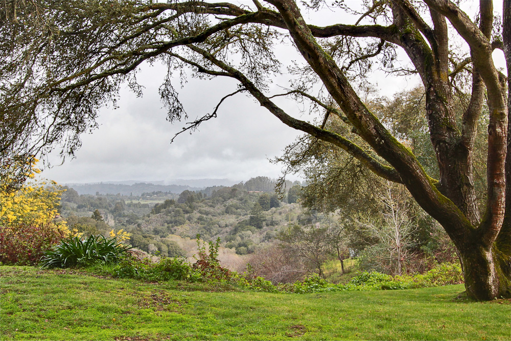 Background image for the property website design