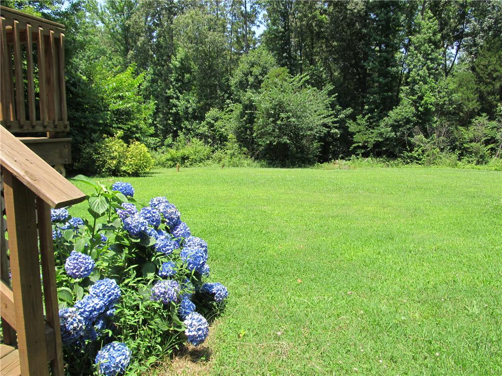 Background image for the property website design