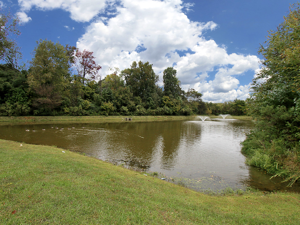 Background image for the property website design