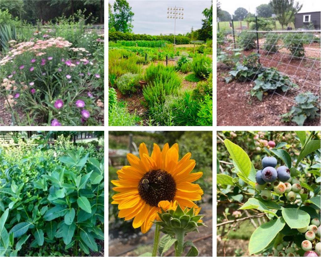 Background image for the property website design