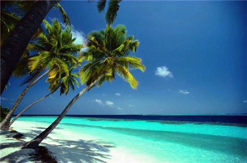 Background image for the property website design