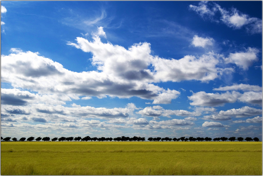 Background image for the property website design
