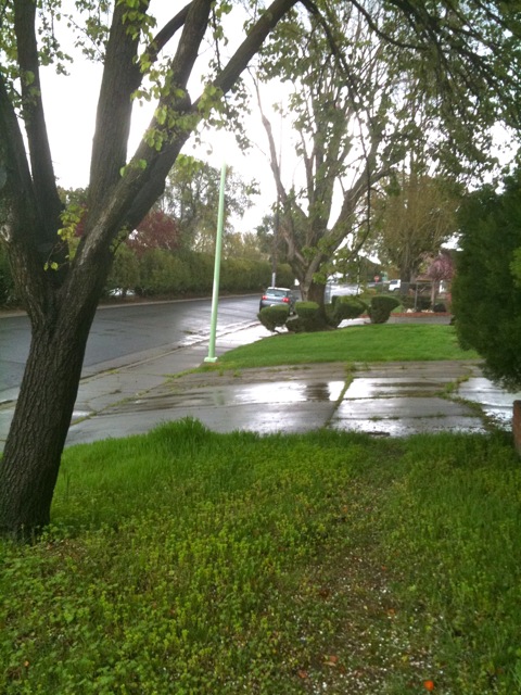 Background image for the property website design