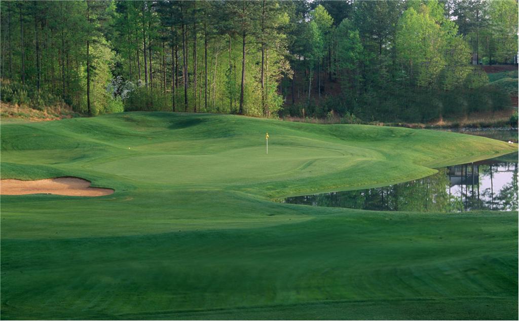 Background image for the property website design
