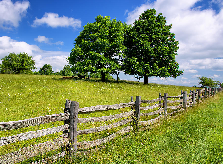 Background image for the property website design