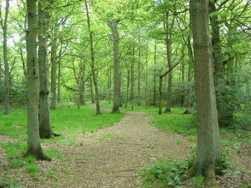 Background image for the property website design