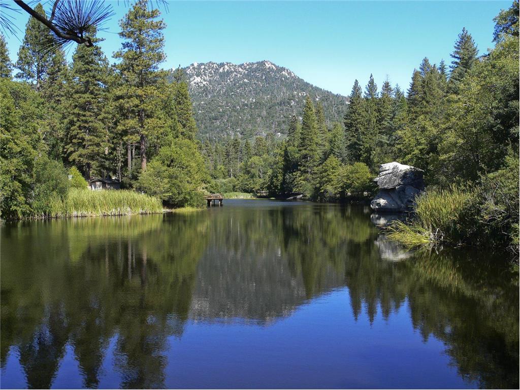 Background image for the property website design