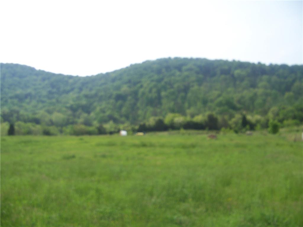 Background image for the property website design