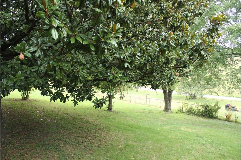 Background image for the property website design