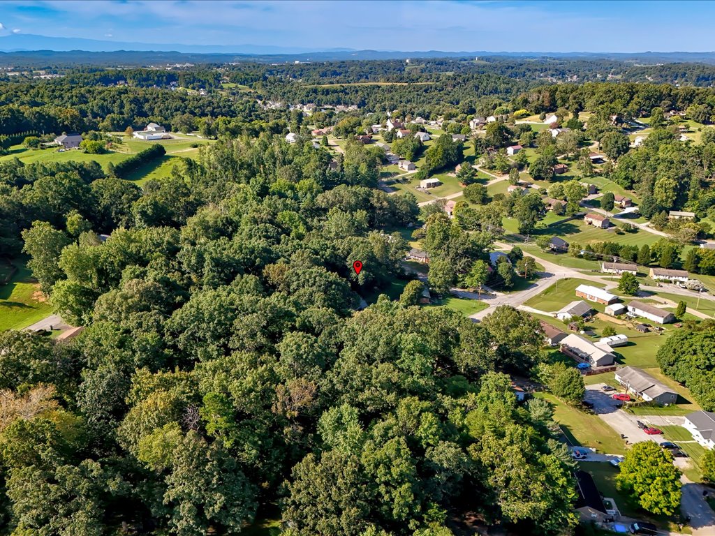 Background image for the property website design