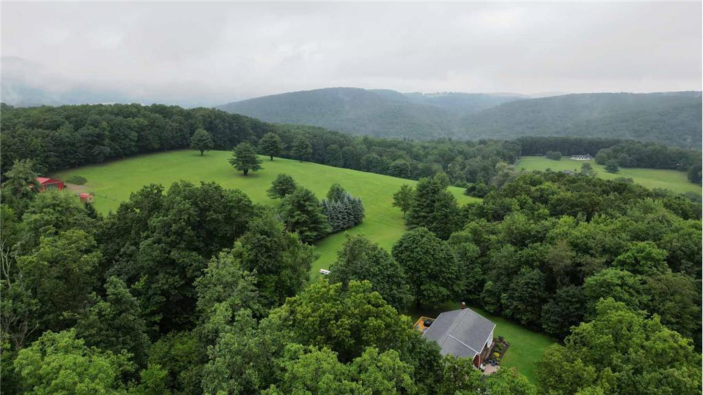 Background image for the property website design