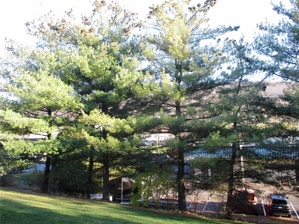 Background image for the property website design