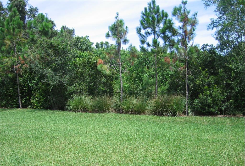 Background image for the property website design