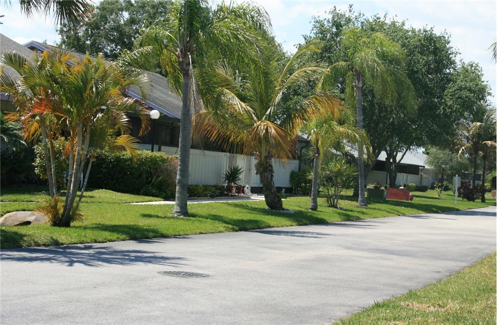 Background image for the property website design