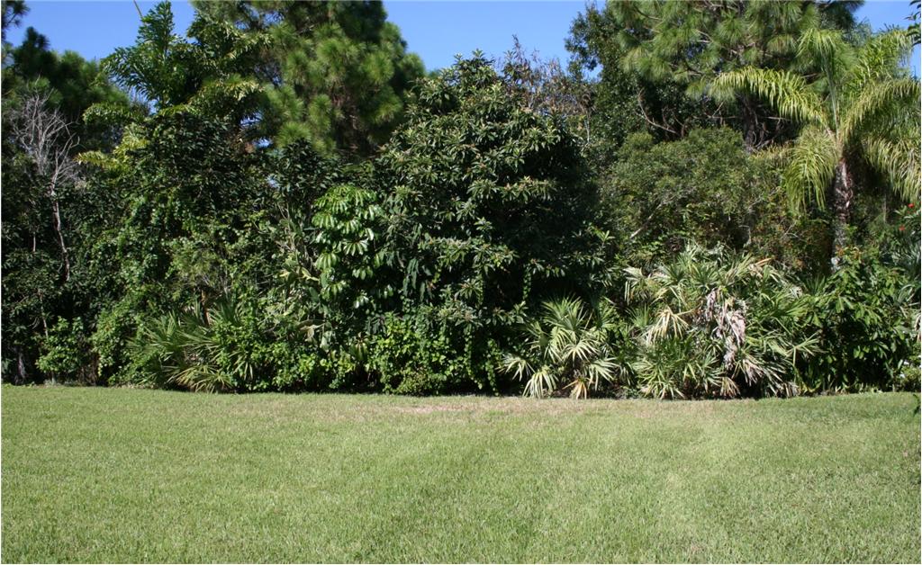 Background image for the property website design