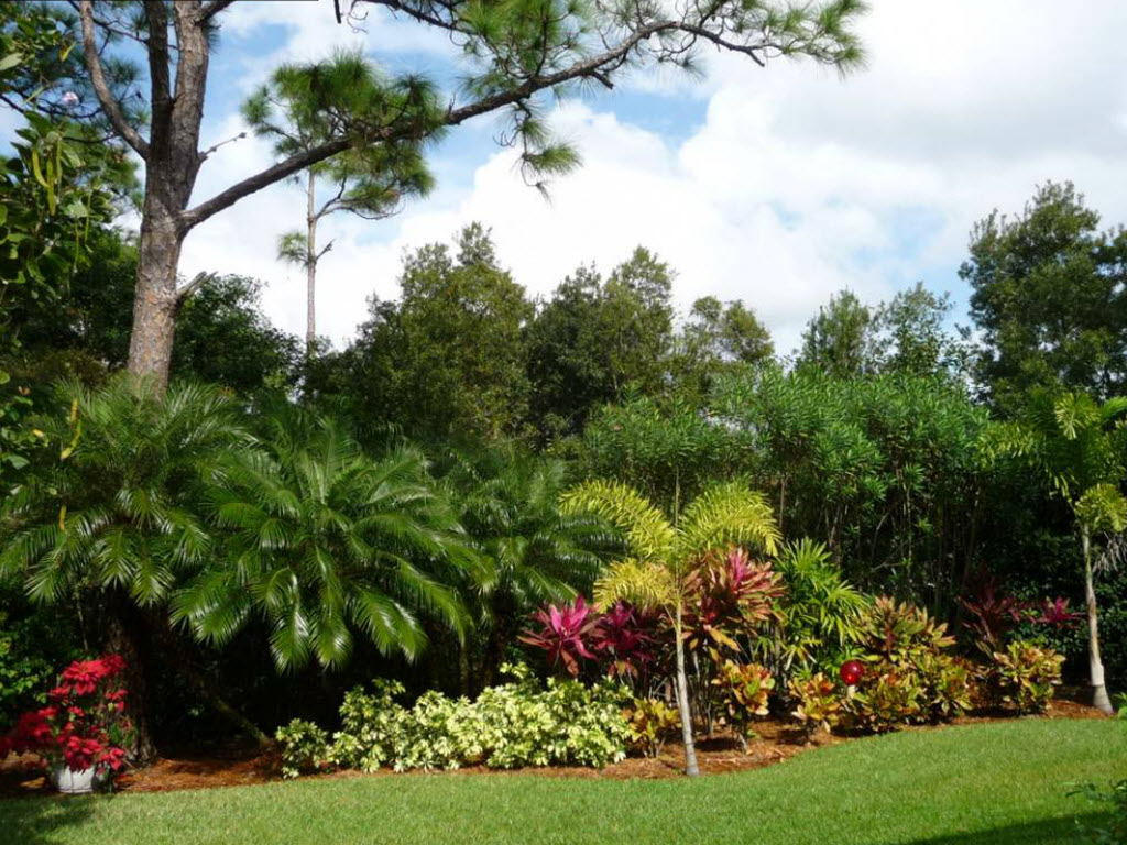 Background image for the property website design