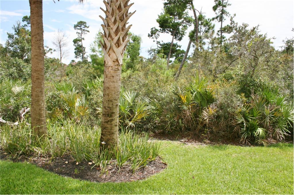 Background image for the property website design