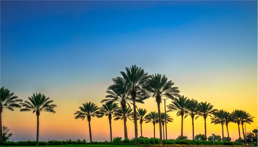 Background image for the property website design