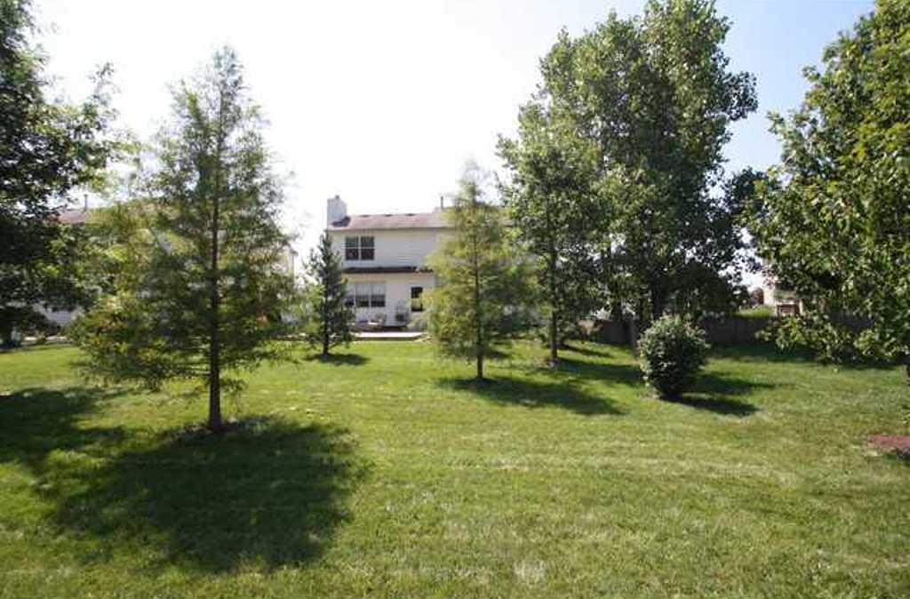 Background image for the property website design