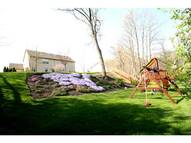 Background image for the property website design