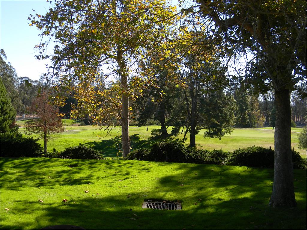 Background image for the property website design